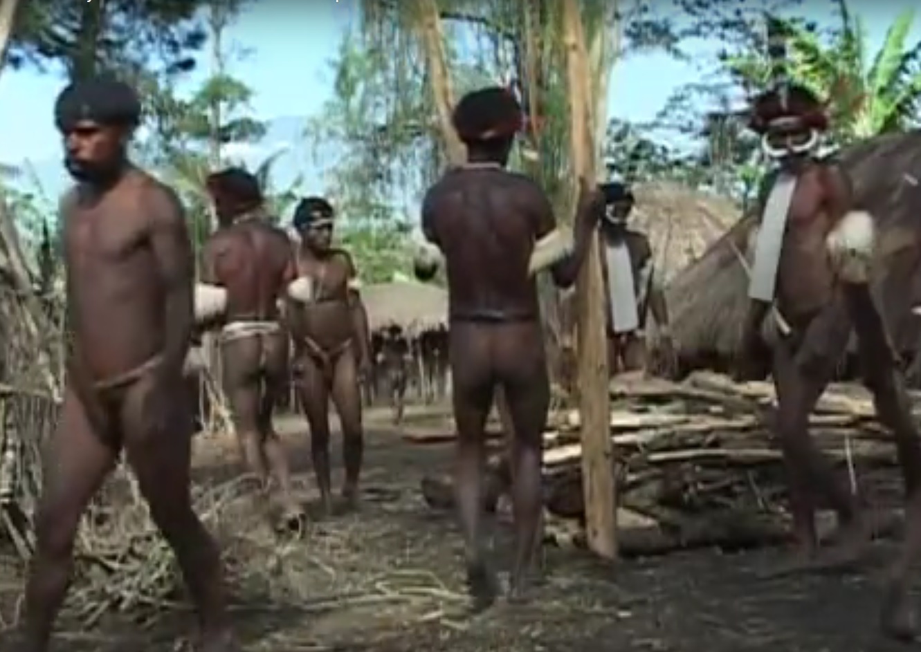 VIDEO: NEVJEROJATNO - Oni još uvijek žive na drveću uz barbarske običaje i jedu ljude 1