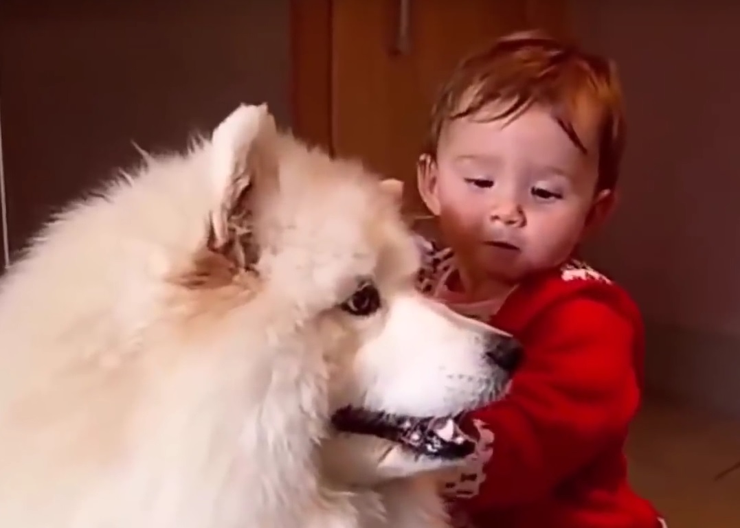 VIDEO: JEZIK LJUBAVI - Ima neka tajna veza djece i životinja - pogledajte