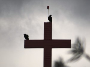ptica, križ, smrt